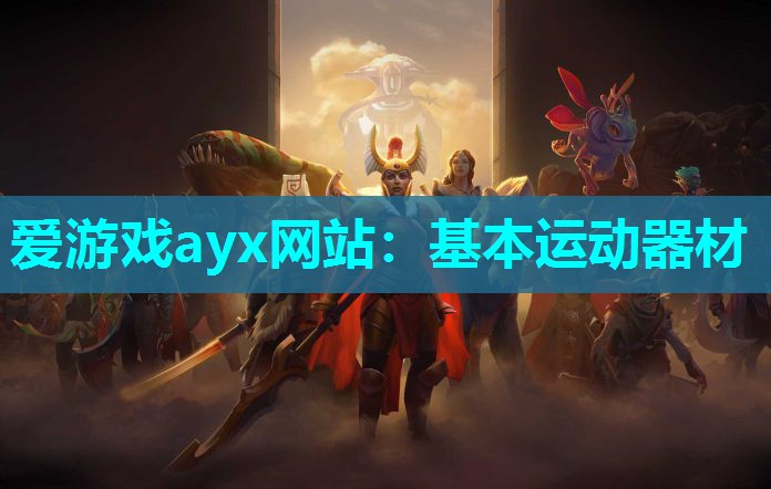 爱游戏ayx网站：基本运动器材