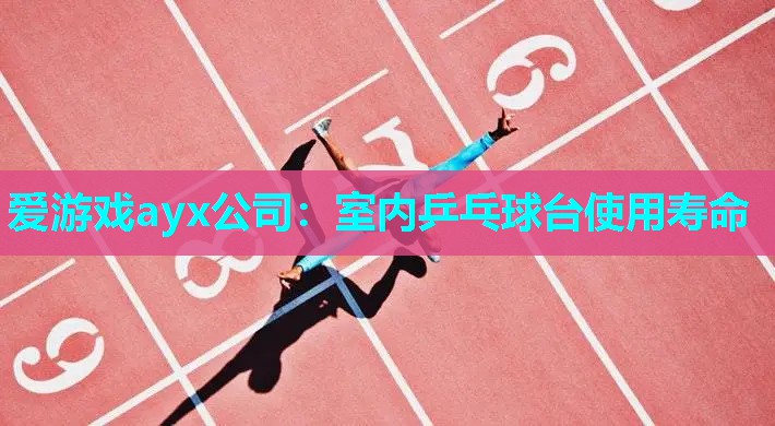 爱游戏ayx公司：室内乒乓球台使用寿命