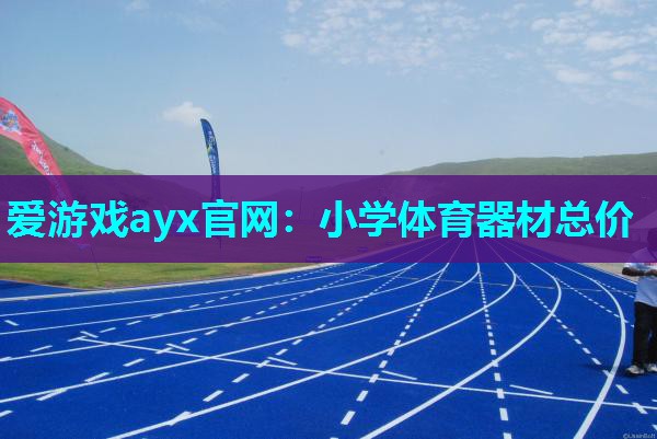 爱游戏ayx官网：小学体育器材总价