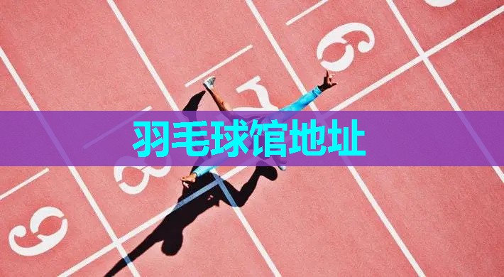 羽毛球馆地址