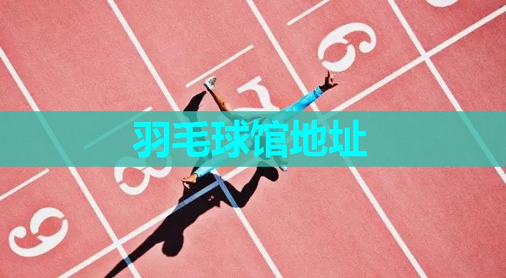 羽毛球馆地址