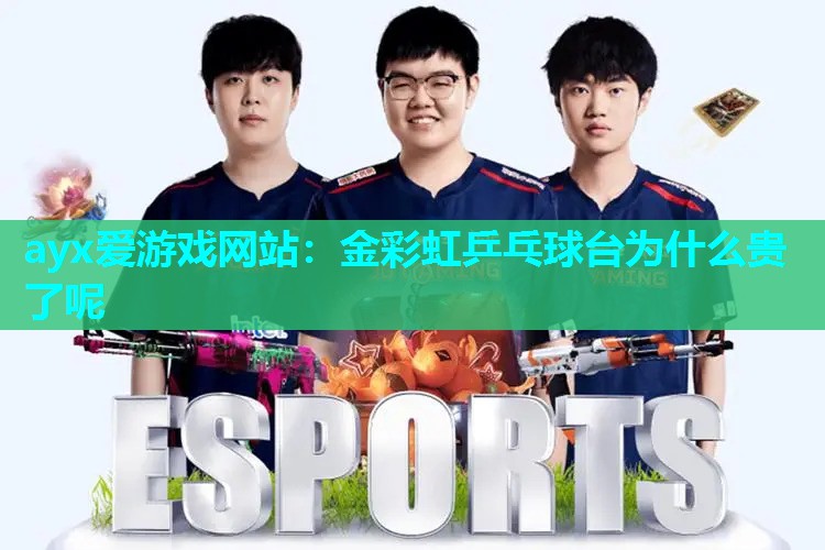 金彩虹乒乓球台为什么贵了呢