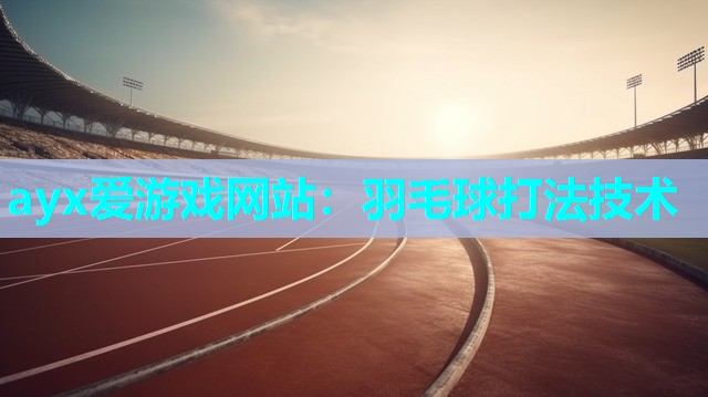 羽毛球打法技术