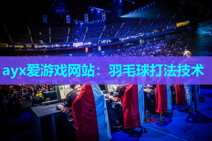 羽毛球打法技术