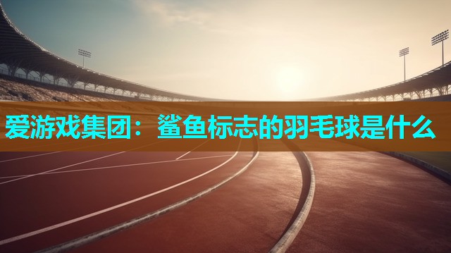 鲨鱼标志的羽毛球是什么